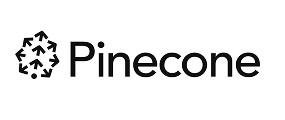 Inicio Bases de datos vectoriales para inteligencia artificial con Pinecone